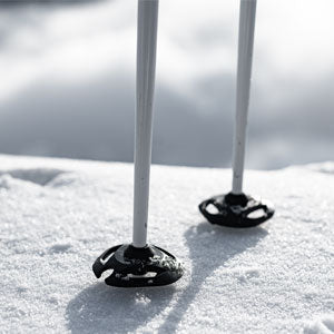 winter ski poles by miller sports aspen