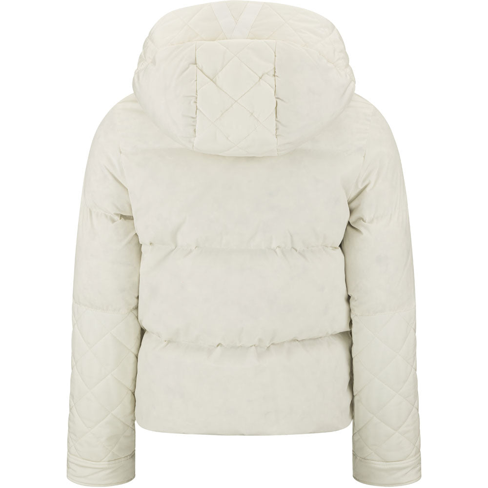 Pine Jacket